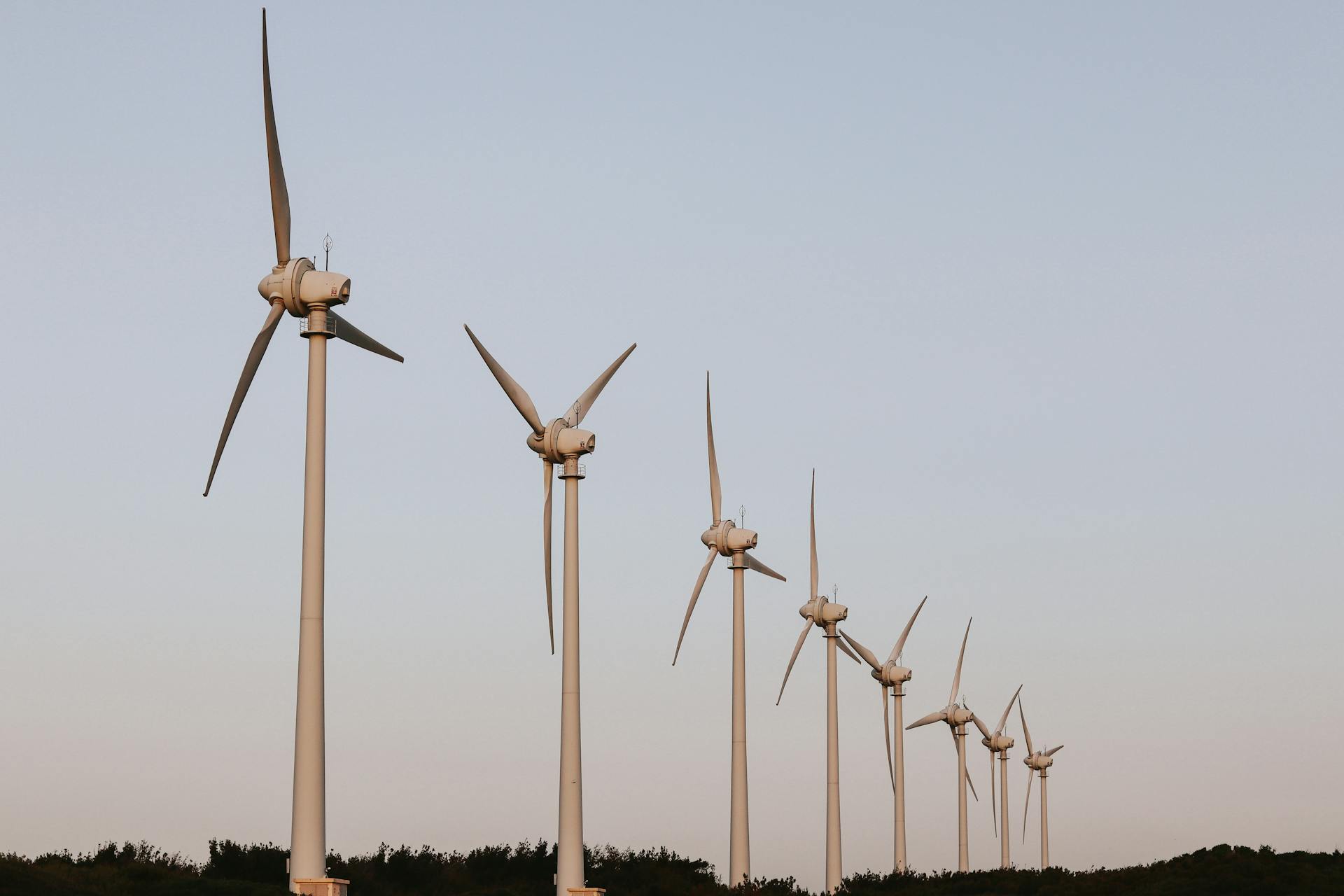 windmill farm/plant